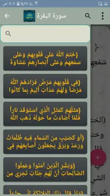 التفسير القيم للإمام ابن القيم android App screenshot 1